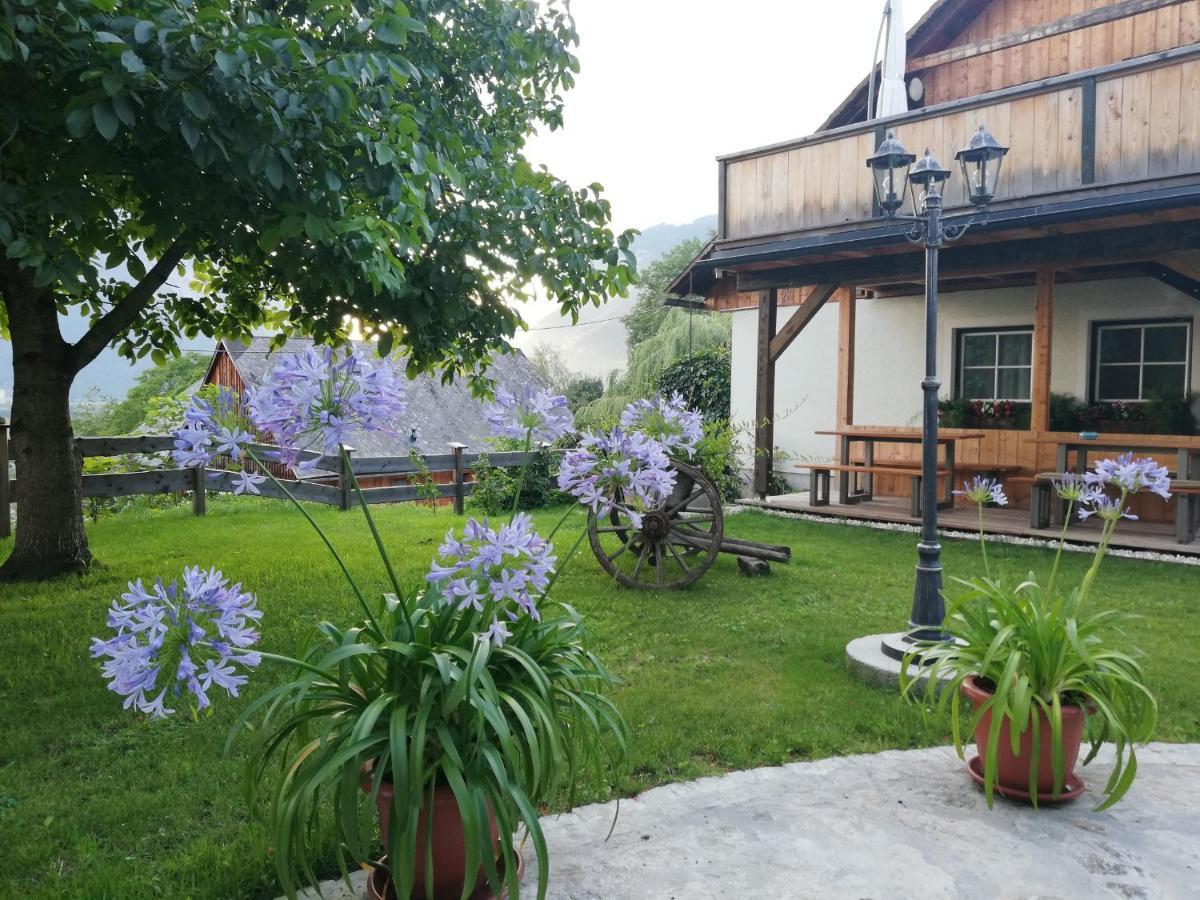 Ortnerhof Ennstal Bed & Breakfast Aigen im Ennstal Bagian luar foto