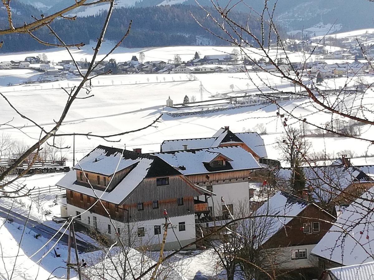 Ortnerhof Ennstal Bed & Breakfast Aigen im Ennstal Bagian luar foto